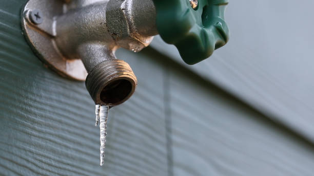 Best Clogged Drain Plumber  in Trenton, NJ